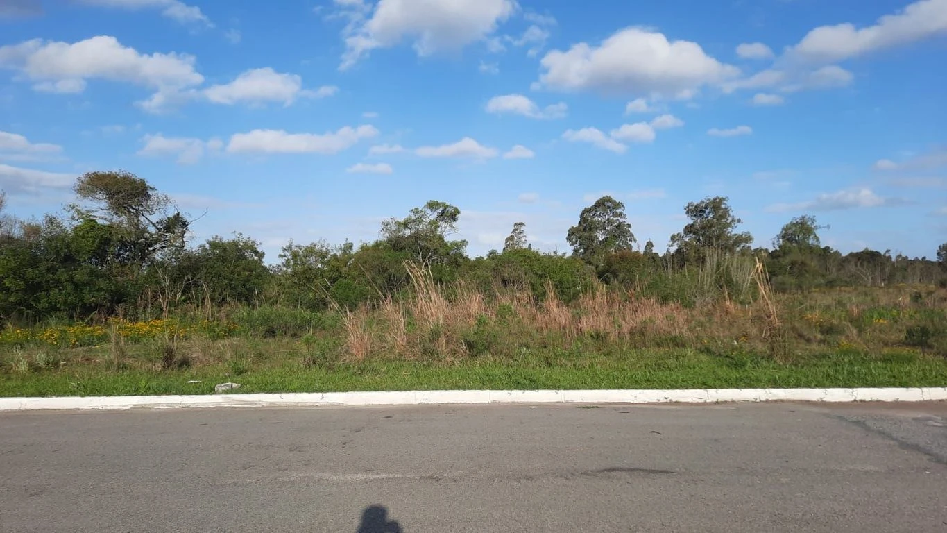 Terreno Comercial no Bairro Liberdade