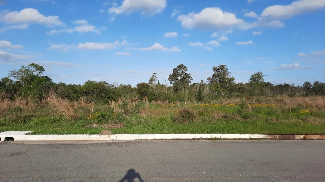Terreno Comercial no Bairro Liberdade